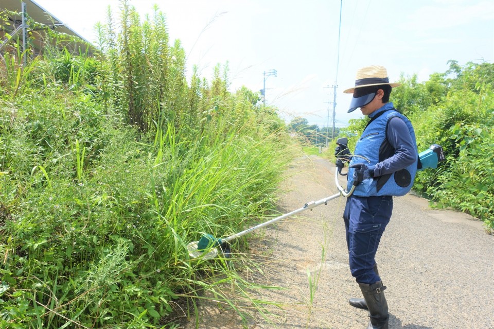 清掃・草刈り・剪定で美観を維持